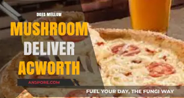 Mellow Mushroom's Delivery Service in Acworth
