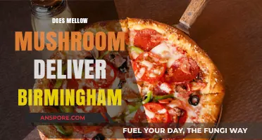 Mellow Mushroom Birmingham: Delivery Options and Details