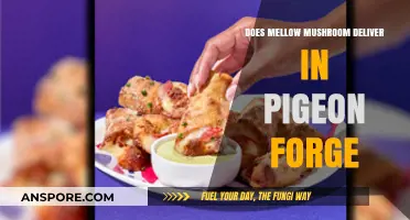 Mellow Mushroom Pigeon Forge: Delivery Options Explored