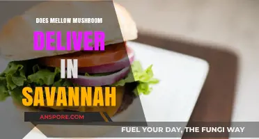 Mellow Mushroom Delivery: Savannah Service Options