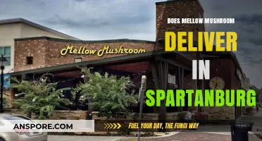 Mellow Mushroom: Spartanburg Delivery Options Explored