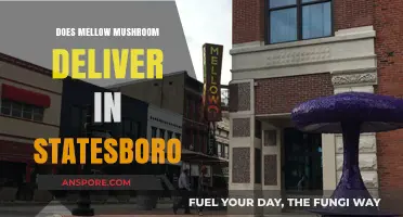 Mellow Mushroom Delivery: Statesboro Options Explored