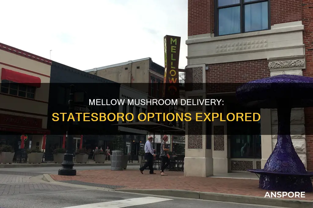 does mellow mushroom deliver in statesboro