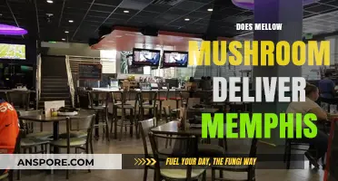 Mellow Mushroom Delivery: Memphis Options Explored