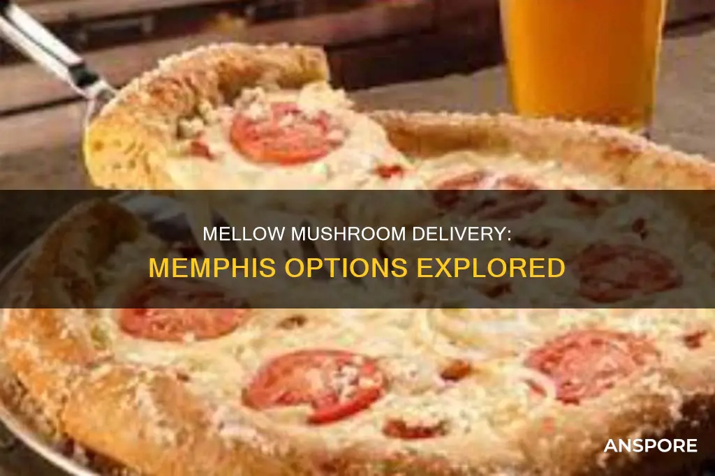 does mellow mushroom deliver memphis