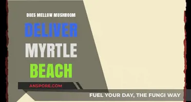 Mellow Mushroom: Myrtle Beach Delivery Options Explored