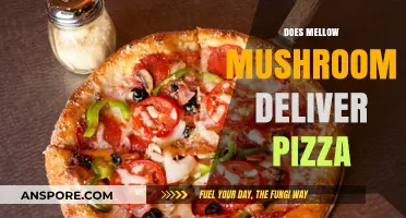 Mellow Mushroom: Pizza Delivery and Takeout Options