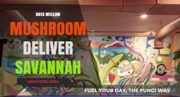 Mellow Mushroom Delivery in Savannah: What You Need to Know