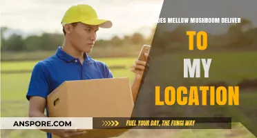 Mellow Mushroom Delivery: Where Do They Deliver?