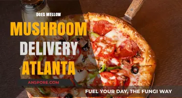 Mellow Mushroom's Atlanta Delivery: Fast, Fresh, and Tasty!