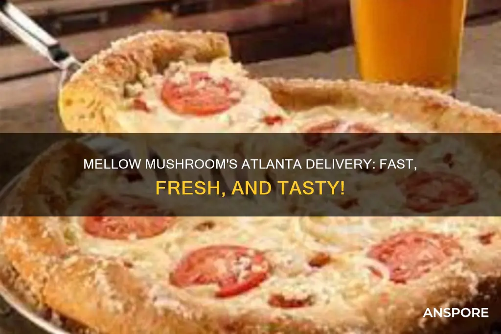 does mellow mushroom delivery atlanta