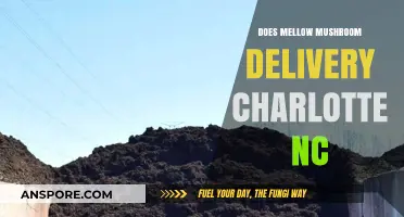 Mellow Mushroom: Charlotte, NC Delivery Options
