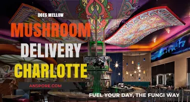 Mellow Mushroom's Charlotte Delivery: Fast, Fresh, and Tasty!