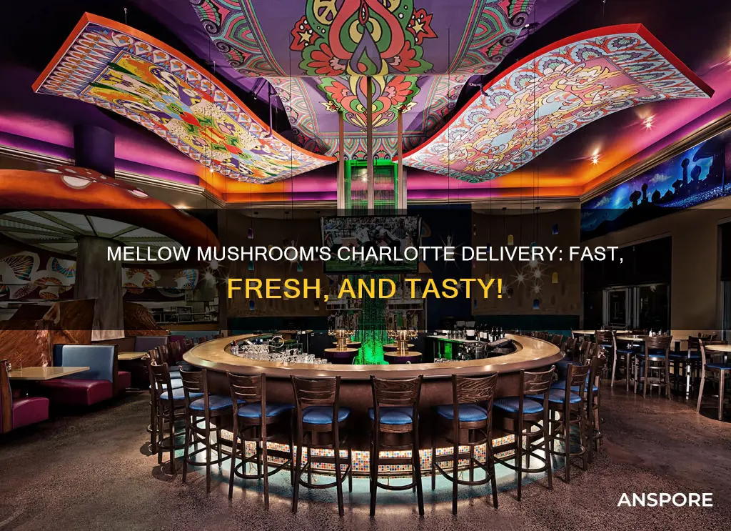 does mellow mushroom delivery charlotte