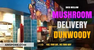 Mellow Mushroom's Dunwoody Delivery: What You Need to Know