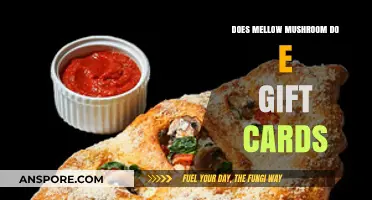 Mellow Mushroom: The Perfect e-Gift Card Option