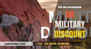 Mellow Mushroom's Military Discount: What You Need to Know