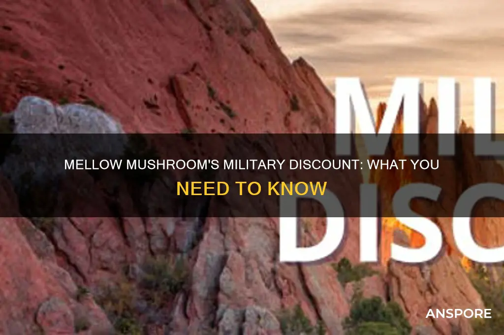 does mellow mushroom do military discount