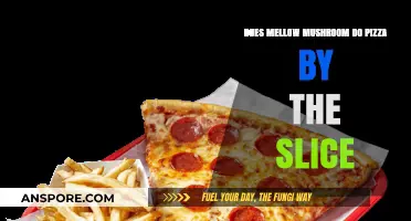 Mellow Mushroom: Pizza by the Slice?