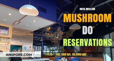 Mellow Mushroom Reservations: How to Book Your Table