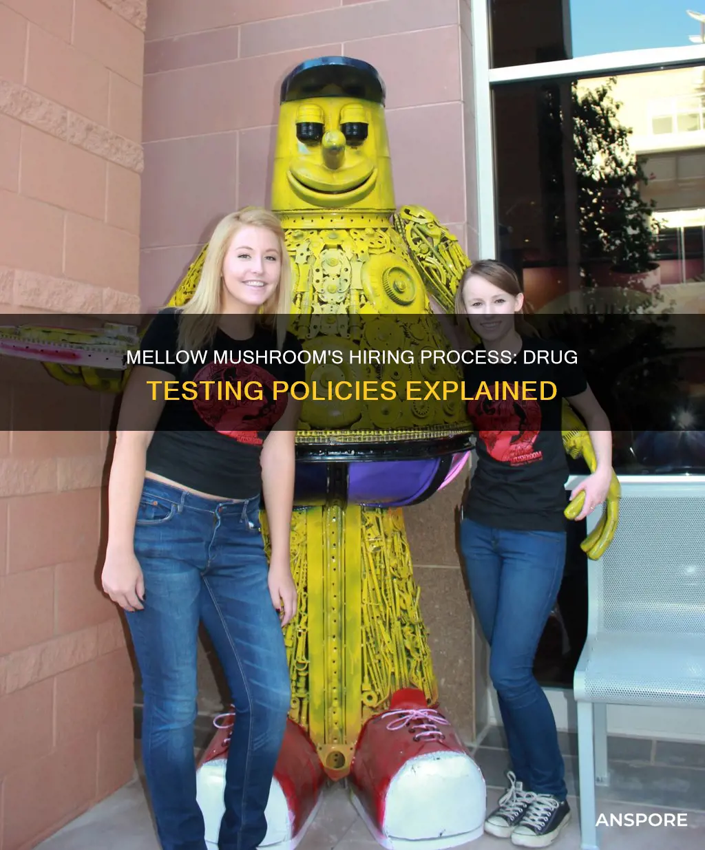 does mellow mushroom drug test