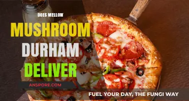 Mellow Mushroom Durham: Delivery Options and Details