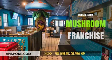 Mellow Mushroom: Is This Pizza Chain a Franchise?