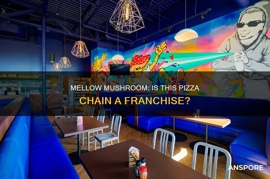 does mellow mushroom franchise