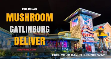 Mellow Mushroom Gatlinburg: Do They Deliver?