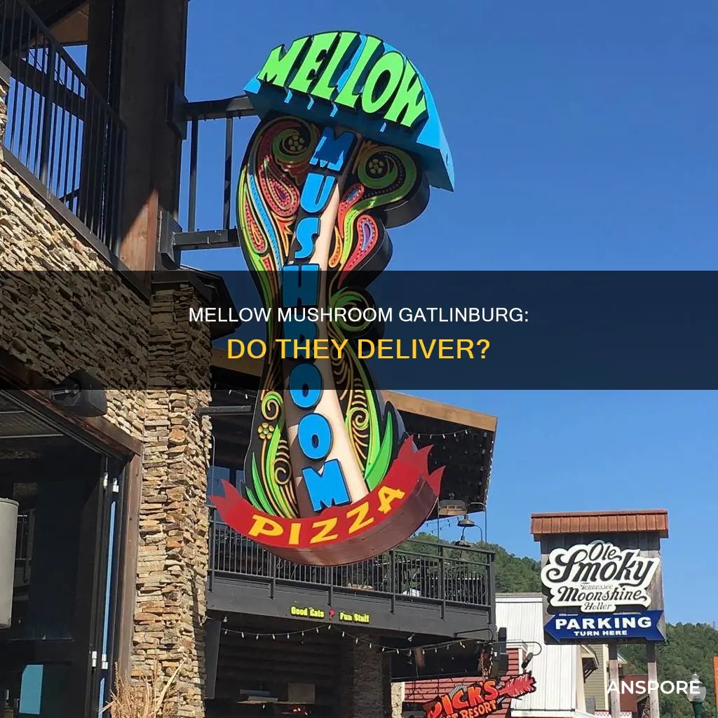 does mellow mushroom gatlinburg deliver