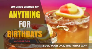 Mellow Mushroom Birthday Perks: What's on Offer?