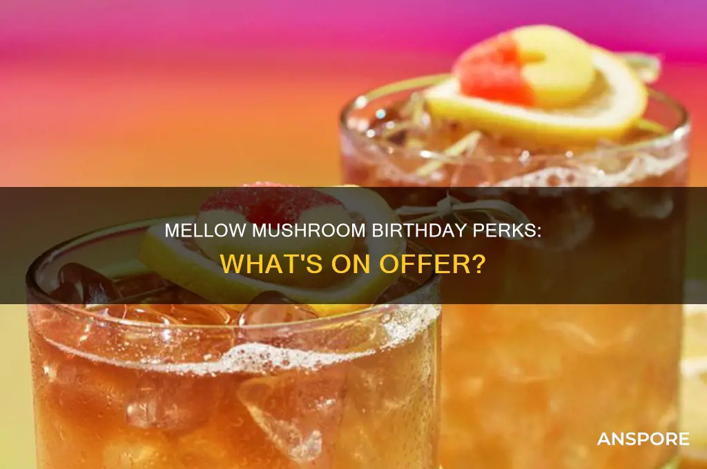 does mellow mushroom give anything for birthdays
