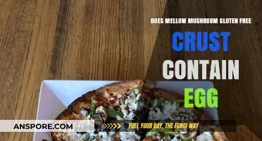Mellow Mushroom's Gluten-Free Crust: Egg-Free Option?