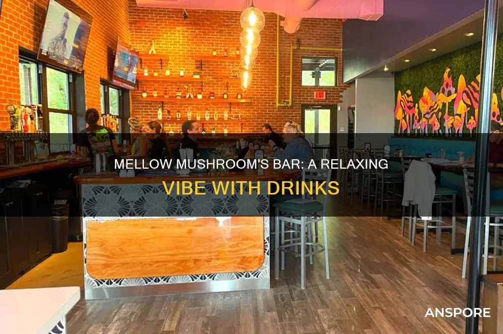 does mellow mushroom have a bar