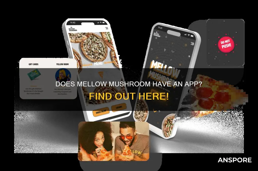does mellow mushroom have an app