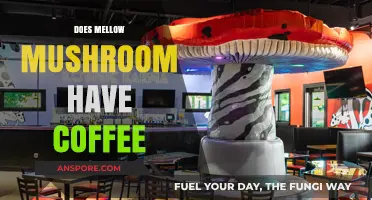 Mellow Mushroom Coffee: What's Brewing?