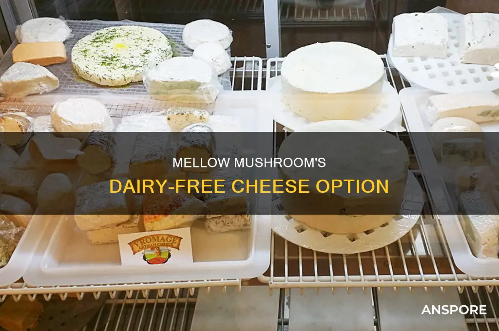 does mellow mushroom have dairy free cheese