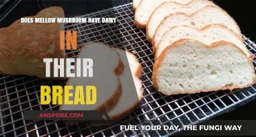 Mellow Mushroom Bread: Is It Dairy-Free?