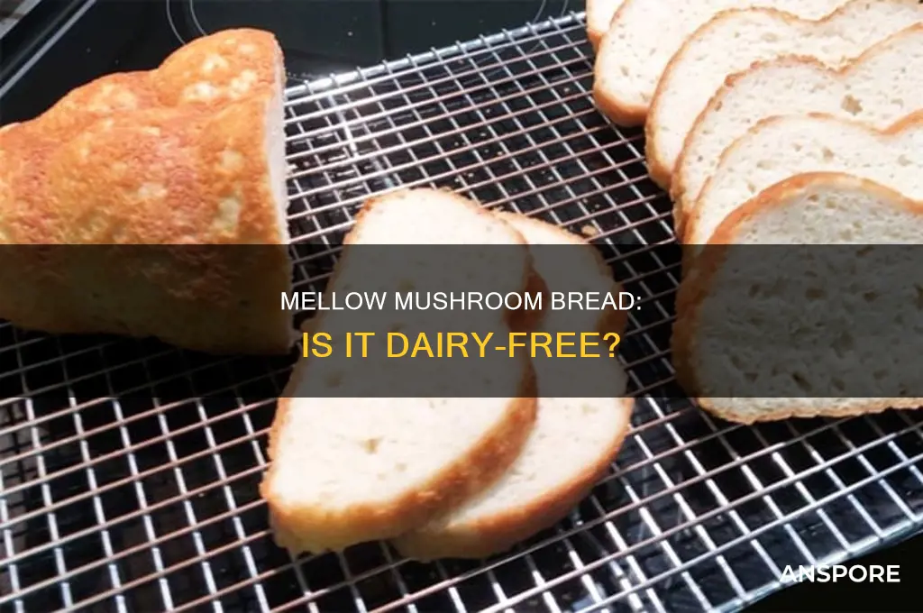 does mellow mushroom have dairy in their bread
