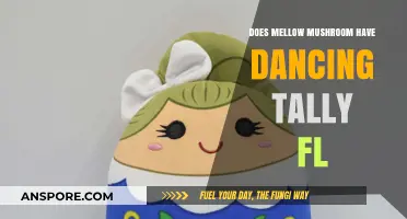 Dancing at Mellow Mushroom: Tally's Fun