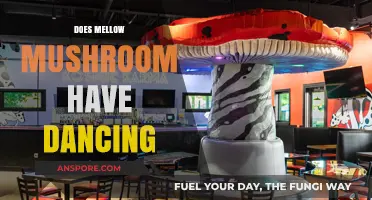 Mellow Mushroom's Dancing Delights: A Fun Night Out