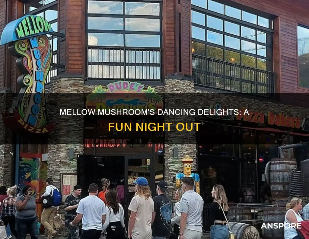 does mellow mushroom have dancing