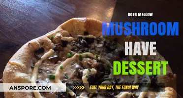 Mellow Mushroom's Dessert Delights: What to Expect