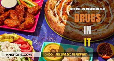 Mellow Mushroom: A Trippy Experience?