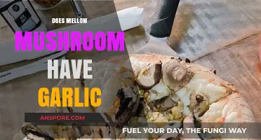 Mellow Mushroom's Secret Garlic Recipe Revealed