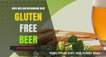 Mellow Mushroom's Gluten-Free Beer Options: What to Know