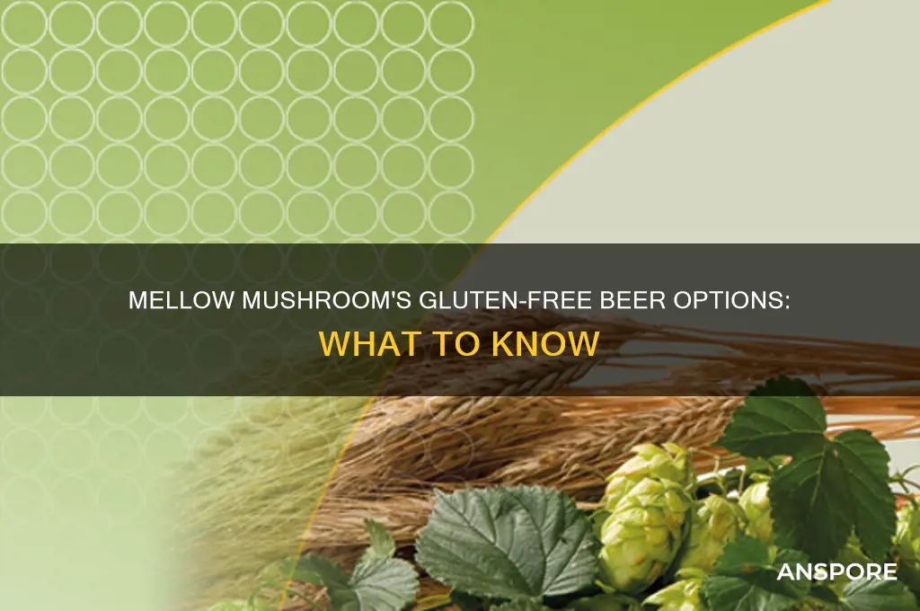 does mellow mushroom have gluten free beer