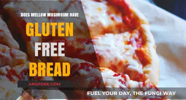 Mellow Mushroom's Gluten-Free Bread Options Explored