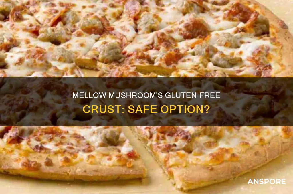 does mellow mushroom have gluten free crust