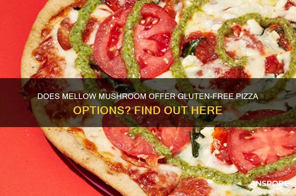 does mellow mushroom have gluten free pizza